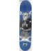 Skateboard Deck 8.1 DGK The Plug